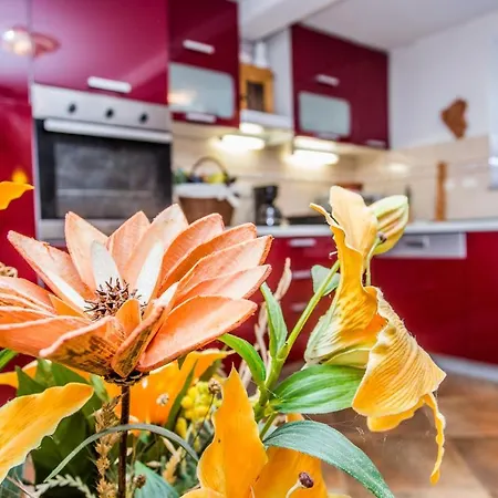 House Kras Case de vacanță *