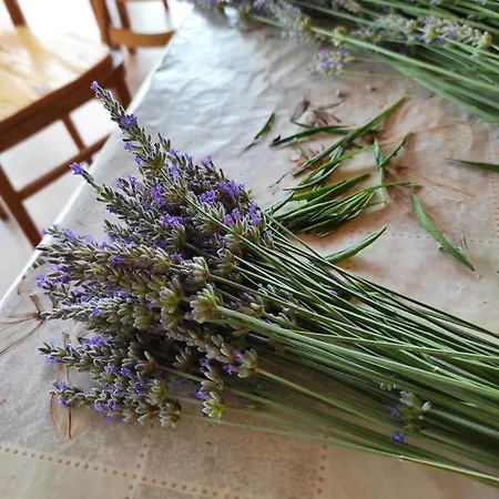 House Kras * Dobrinj