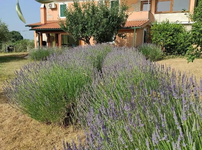 House Kras By Istra Vacation *