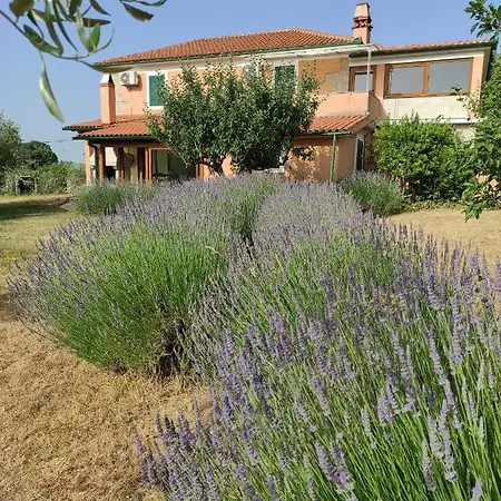 House Kras By Istra Vacation *